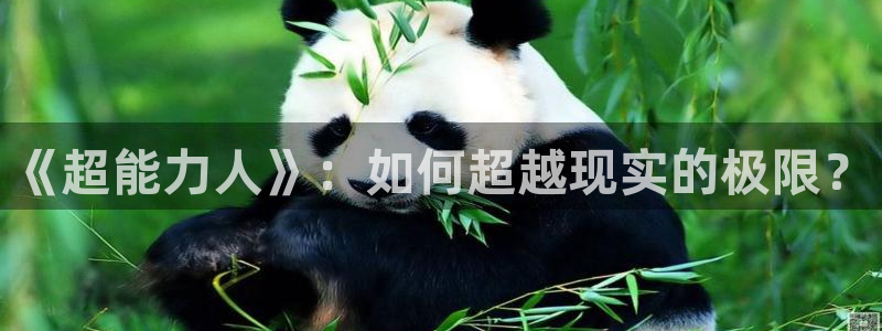 喵趣玩官网：《超能力人》：如何超越现实的极限？
