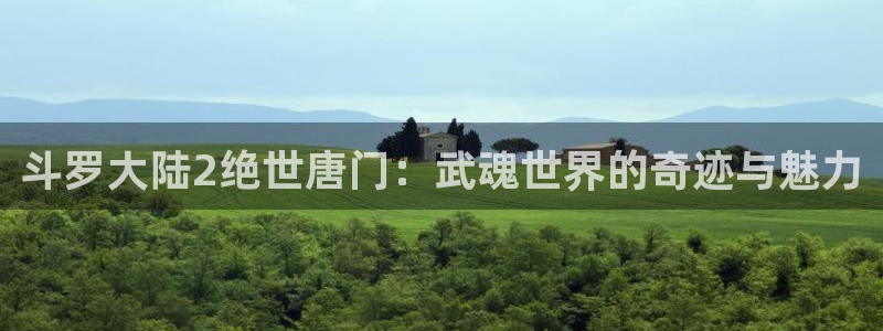 喵趣漫画安装：斗罗大陆2绝世唐门：武魂世界的奇迹与魅力