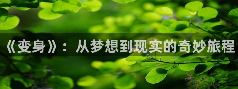 喵趣漫画入口正版：《变身》：从梦想到现实的奇妙旅程
