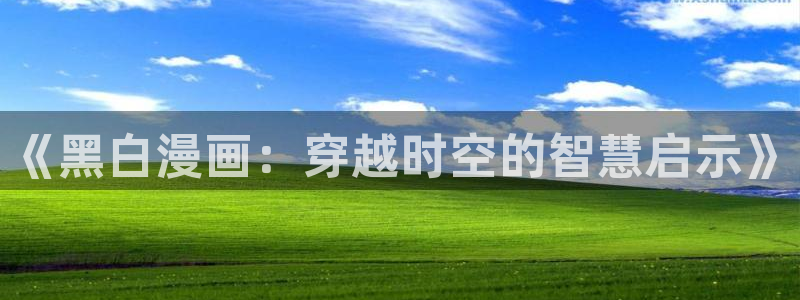 喵趣漫画官方正版：《黑白漫画：穿越时空的智慧启示》