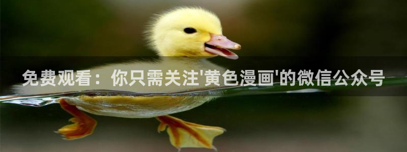 喵趣漫画官网版：免费观看：你只需关注\'黄色漫画\'的微信公众号