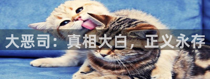 喵趣漫画软件：大恶司：真相大白，正义永存