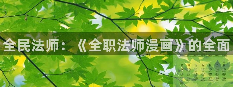喵趣 漫画：全民法师：《全职法师漫画》的全面