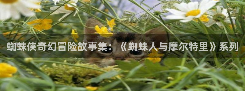 www.喵趣：蜘蛛侠奇幻冒险故事集：《蜘蛛人与摩尔特里》系列