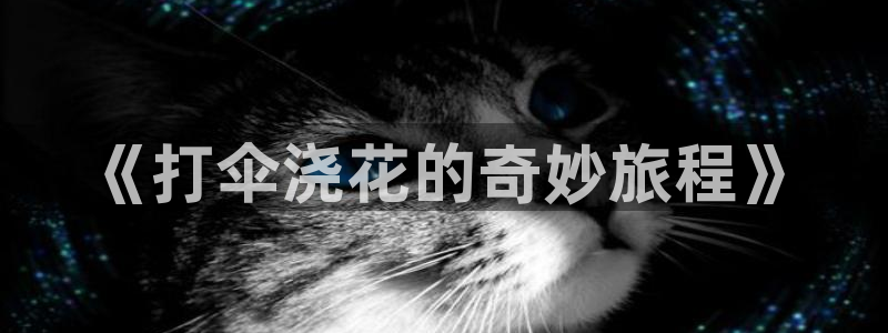 喵趣漫画下载下载