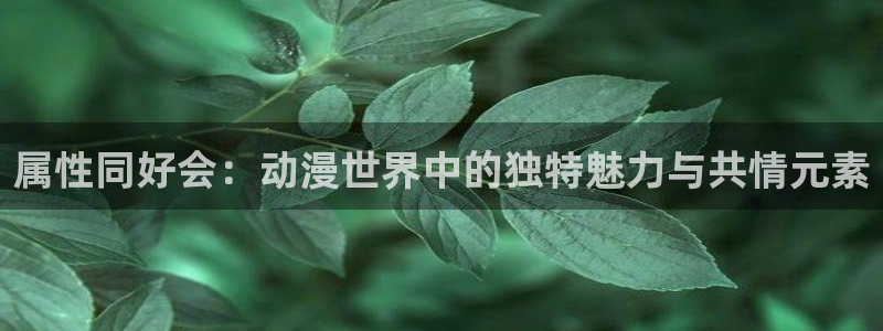 喵趣漫画网页官网