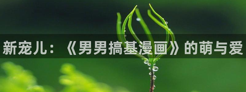 喵趣漫画安装包