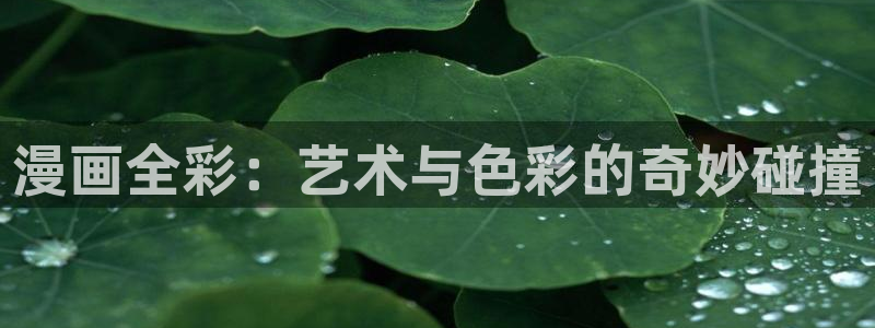 喵趣链接