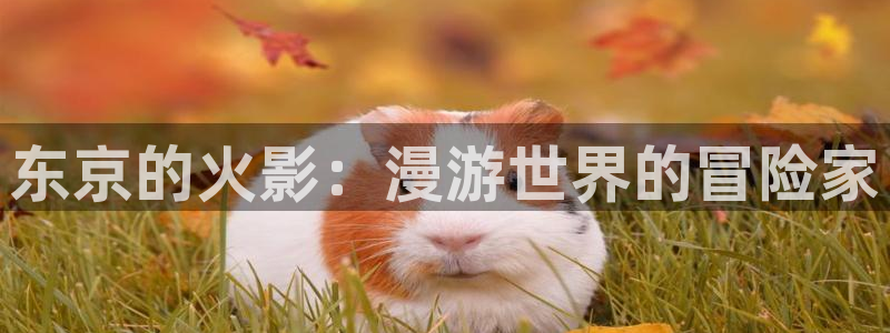 www.喵趣. com