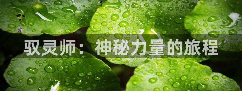 喵趣app