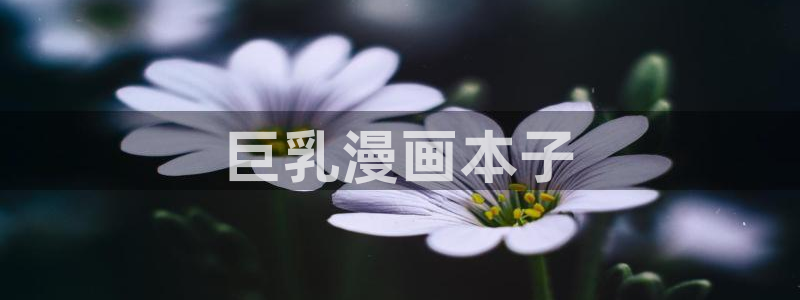 喵趣漫画最新版本是多少