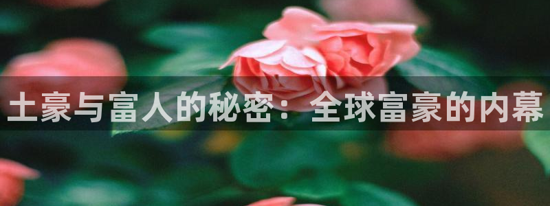 喵趣漫画2024最新版下载