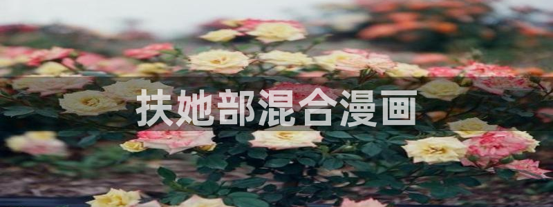 喵趣漫画最新版本2024