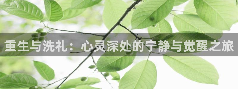 www.喵趣·com