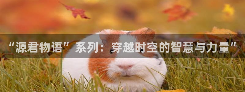 喵趣漫画最新下载