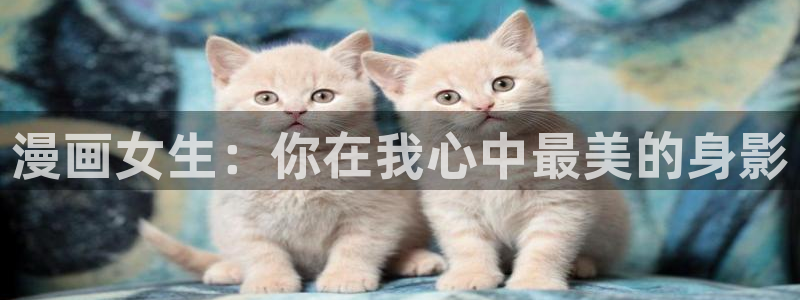 喵趣漫画下载链接
