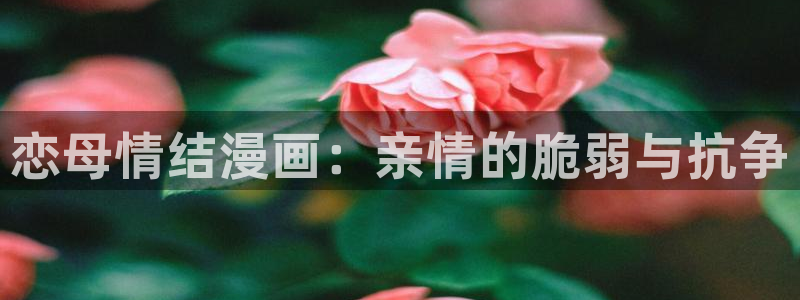 喵趣漫画未删减