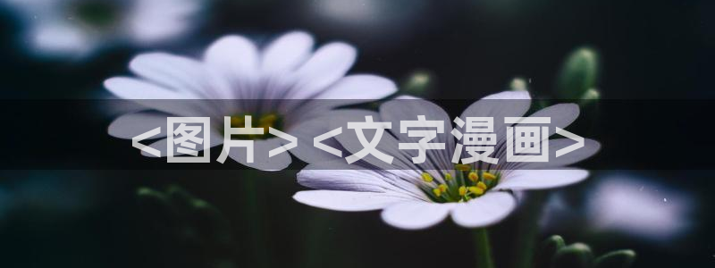 喵趣漫画为什么用不了了
